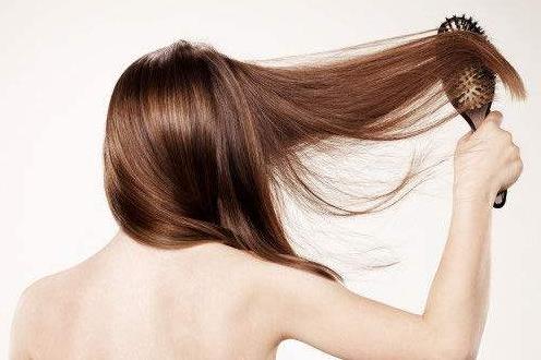 常梳头可促进局部血液循环 梳头时需要掌握的小技巧